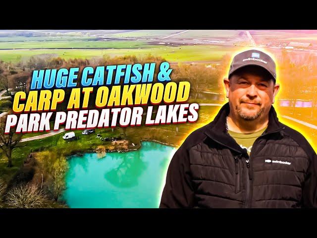 HUGE Catfish & Carp at Oakwood Park Predator Lakes, Norfolk! swimbooker™ Diaries