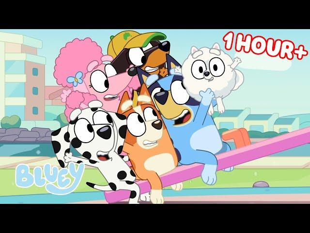 Bluey Seasons 1 and 2 FULL EPISODES  Baby Race, Movies, Seesaw and more! | Bluey