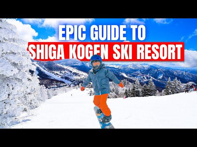 Plan Your EPIC Family Snow Trip to SHIGA KOGEN Ski Resort JAPAN