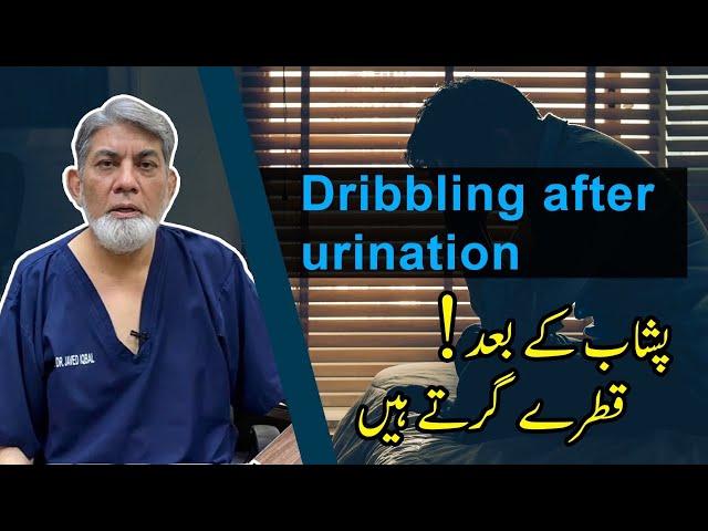 Dribbling after urine: | Urdu | | | Prof Dr Javed Iqbal |