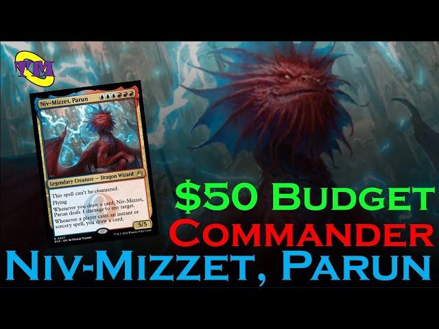 Niv-Mizzet, Parun Budget Commander | Budget Izzet Spellslinger with Upgrades & Top 10 Cards | TM MTG