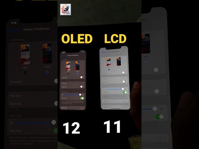 iPhone OLED display vs LCD Display  2025 #shorts #shortvideo #iphone