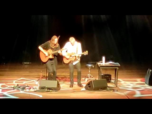 Tommy Emmanuel: Fields of Gold | Live Performance 2023 | Master of Acoustic Guitar