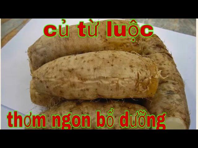 Củ từ luộc, về quê đào củ từ xóa đói mùa covid, vân phúc official