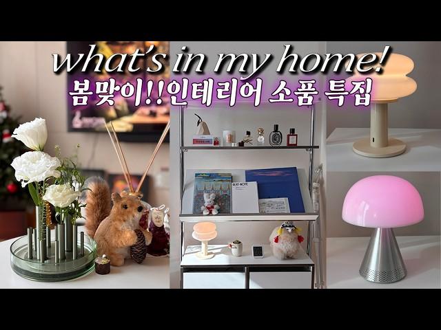 리뷰만점30대 인플루언서 센스가득 인테리어 찐템 소개 왓츠인마이백(홈)
