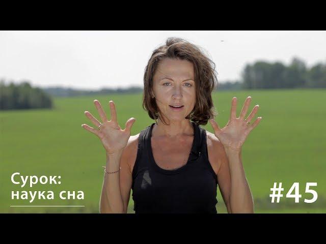 Сурок: наука сна // Всё как у зверей #45
