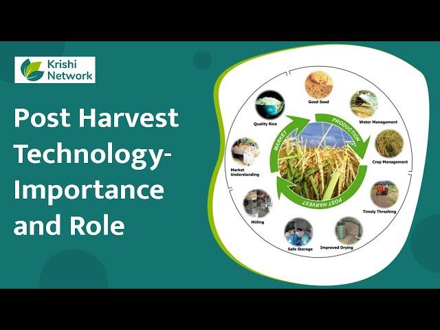 Important Of Post Harvest Management In Agriculture | Krishi Network