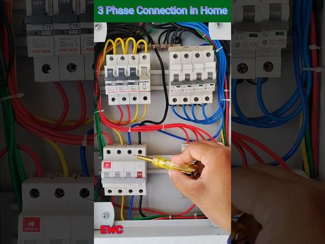 3 Phase Line Connection in Home ।। MCB Connection ।। TPN MCB ।। electrical work