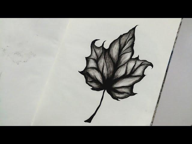 How to draw a leaf step by step ।। Realistic pencil drawing tutorial।।Leaf drawing easy