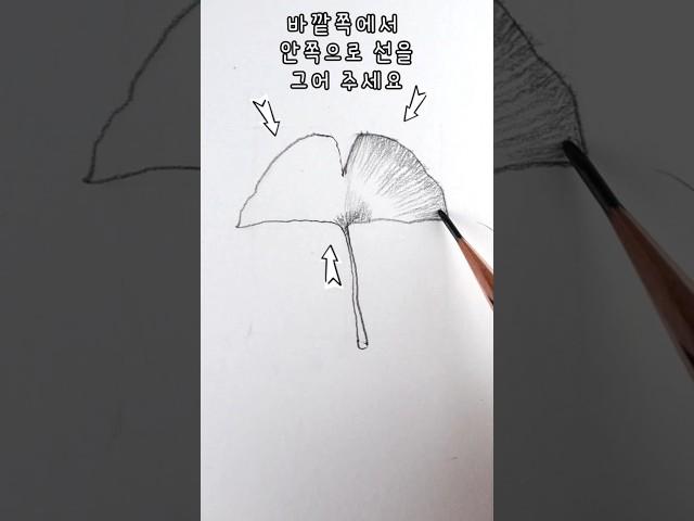 네모부터 시작하는 쉽게 그리는 은행잎 #낙엽 #누구나쉽게 #그림그리기