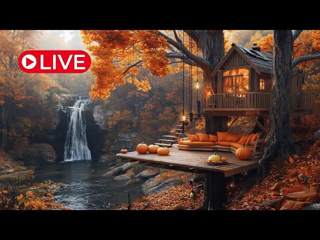 4K HDR Autumn Waterfall - Stream Sounds - Flowing Water - Forest River - White Noise - Sleep/ Relax