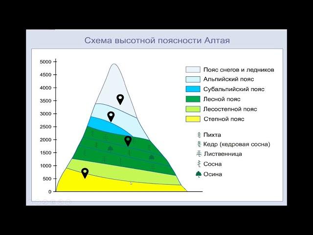 Пояс гор Южной Сибири