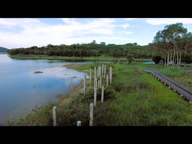 ⟪中山市⟫ 鄰近市中心的超大公園金鐘湖公園 (金鐘水庫) 湖邊散步道/單車綠道