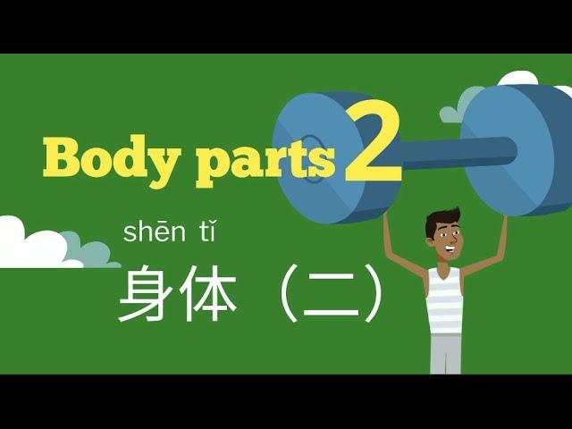 Body parts-2 | 身体-2 | Learn Chinese #body #身体