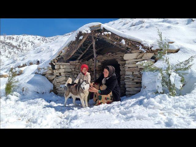 Nomadic Life| Winter Guardians| Husky Companion for Mother and Daughter in the Snow| Nomadic family|