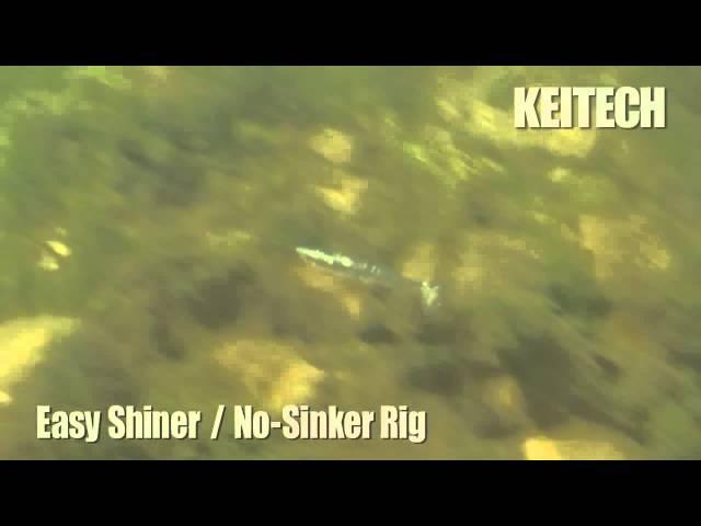 Easy Shiner - No Sinker Rig