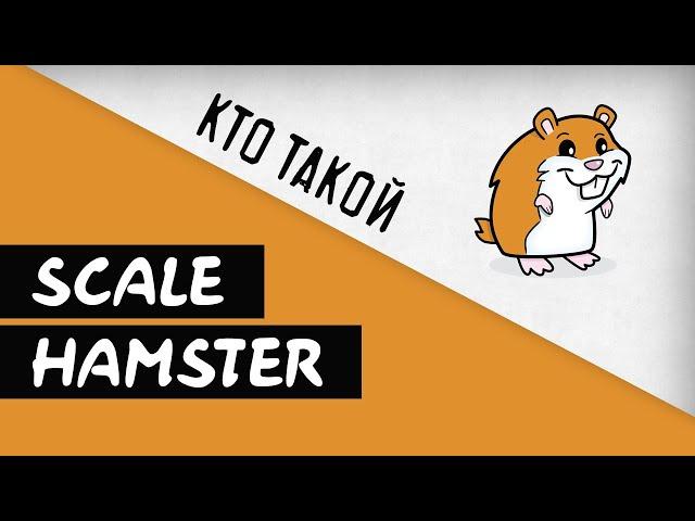 Who is Scale Hamster? Channel About Scalemodeling and Collecting