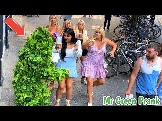 BUSHMAN PRANK THE MOST UNFORGETTABLE DAY  | MR GREEN PRANK