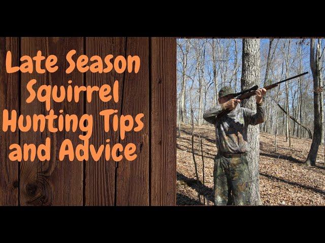 Late Season Squirrel Hunting Tips and Advice