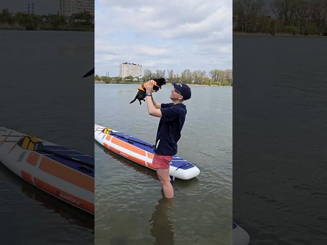POV: когда решил побыть один, отдохнуть и развеяться. #sup #paddleboard #сапборд