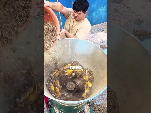 "This Machine Makes Animal Feed in Seconds!#shorts