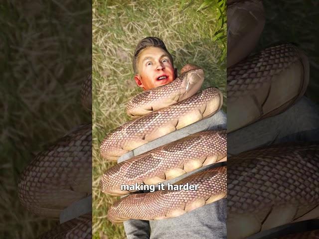 How A Snake Could Choke A Human 