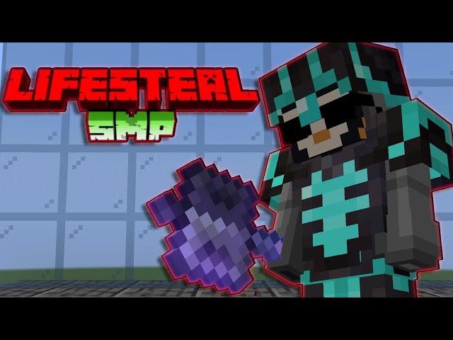 SB737 Is Back On The Lifesteal SMP!!