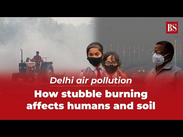 Delhi air pollution: How stubble burning affects humans and soil