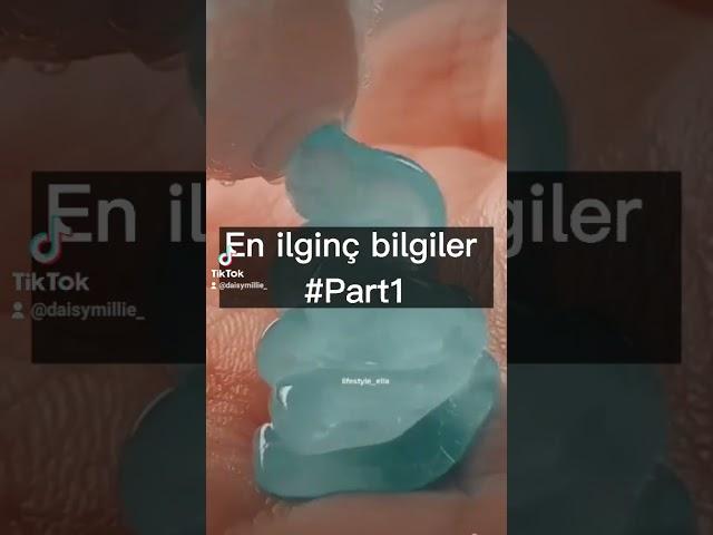 En ilginç bilgiler