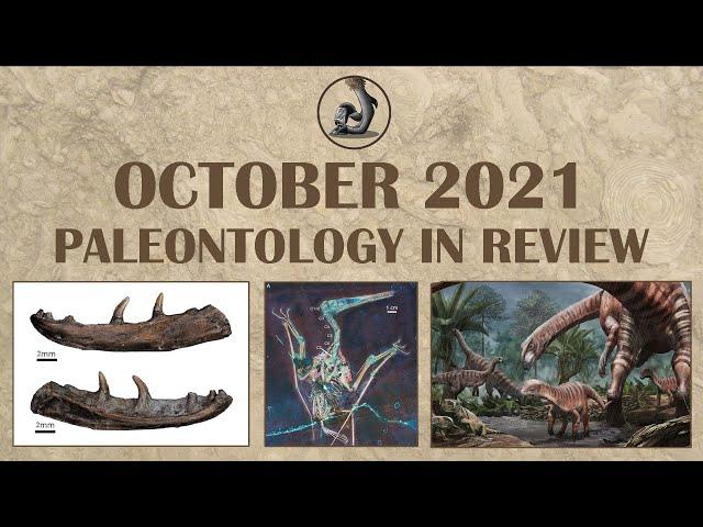 New Paleotology Research and Finds- October 2021