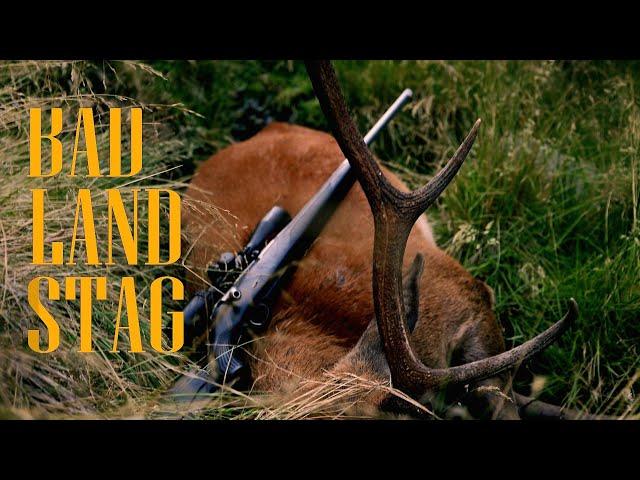 New Zealand public land Red stag in one day