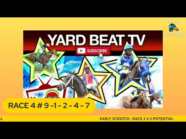 CAYMANAS RACE DAY PREVIEW / YARD BEAT T.V. Saturday 24.08.24