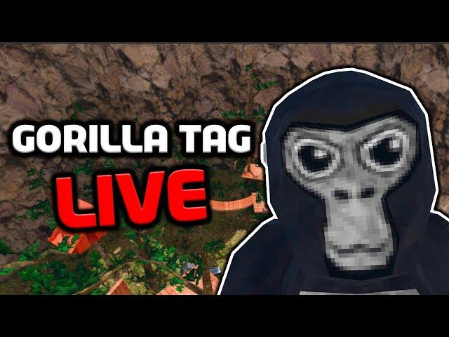 New Gorilla Tag Live Stream | Come Join !!