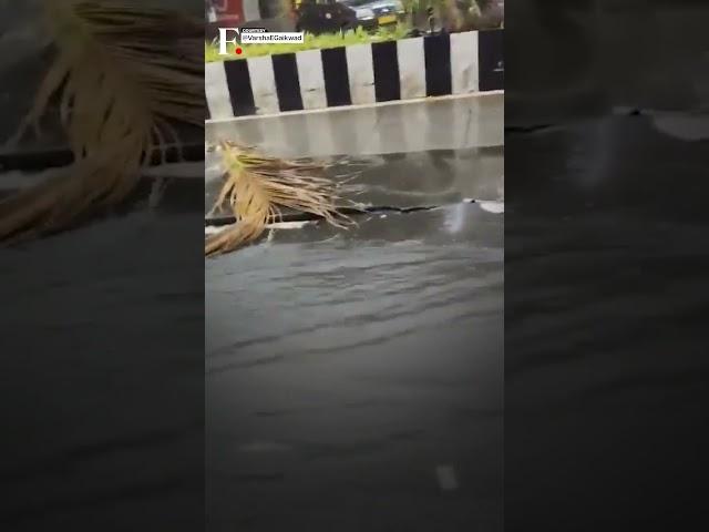 Mumbai Rains: Kemps Corner Road Collapses Amid Heavy Rain | Subscribe to Firstpost | N18G