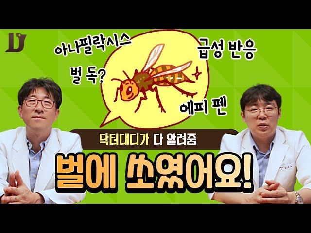 호박벌,말벌,꿀벌 엥? 벌들이네 벌에 쏘였어요 어떻게하죠!!