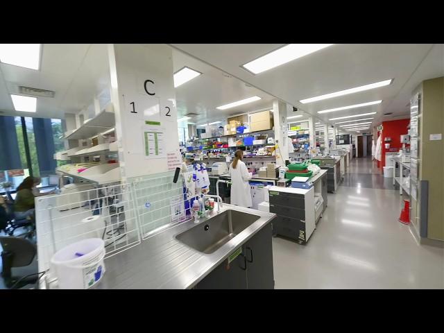 Inside the Cancer Research UK Cambridge Institute