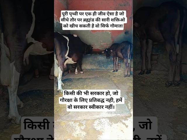 Jay Shri Krishna ️ Radhe Krishna #training #viral..
