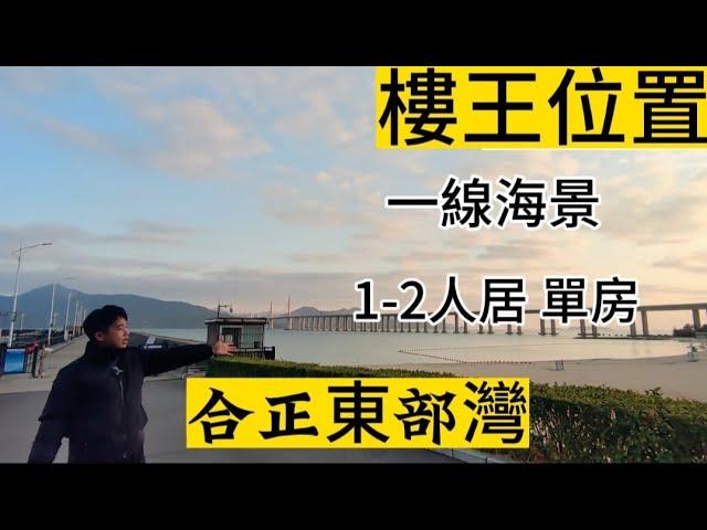 二手推介 | 合正東部灣 一號樓樓王位置 46平一居室 業主实收31萬 樓下沙灘 遊艇碼頭