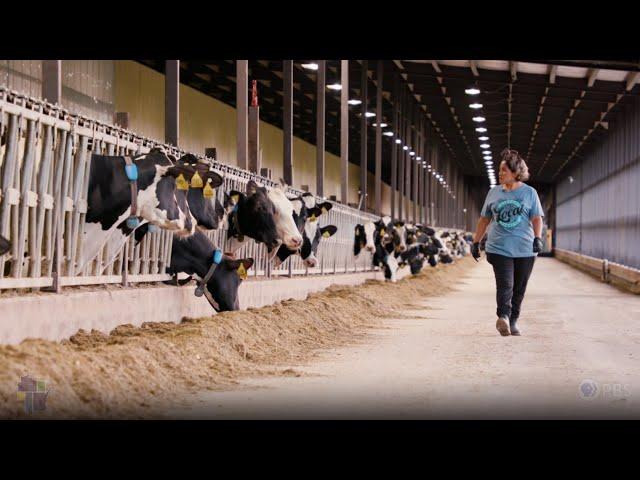 Wisconsin Life | Dairy Farm Life