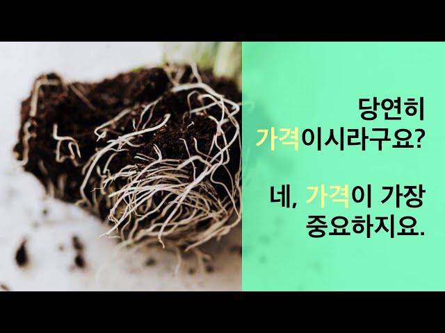 [한스연TV] 가성비 최고의 고품질 양액 관주용비료 고르는 방법