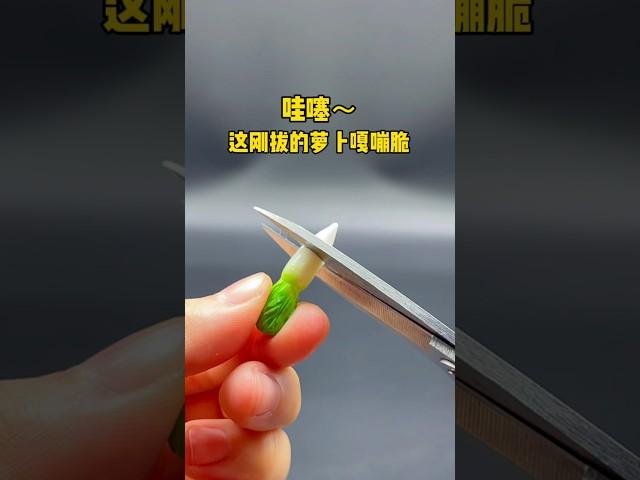 這剛拔的蘿蔔真的好新鮮，一刀下去直接爆汁#miniature