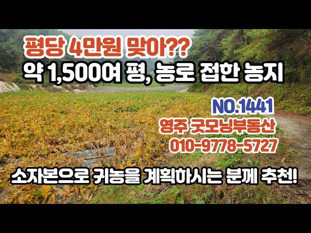 (1441) 소자본으로 귀농을 계획하시는 분께 추천! 시세 대비 저렴한 토지로 농로를 접하고 있어서 농지로 활용도 용이함.