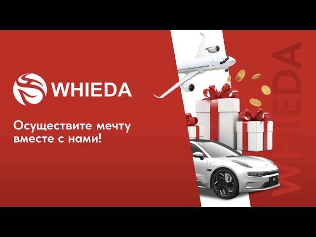  WHIEDA | Презентация бизнеса | Евгений Гнездилов (от 06.11.24)