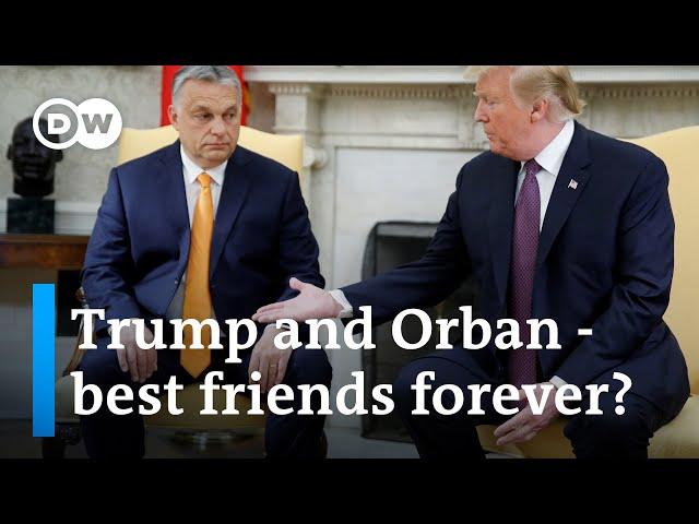 Why many Hungarian Americans support Trump, Orban | DW News