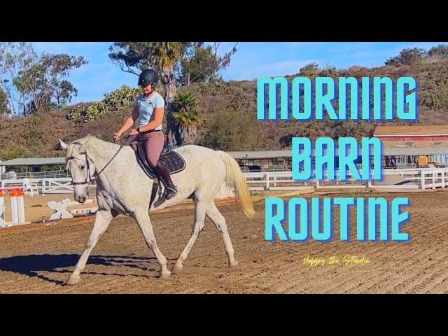 Morning Barn Routine // Happy the Standie