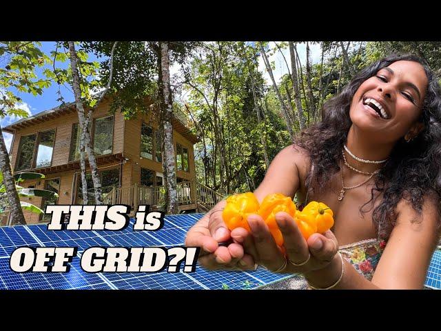 Living off grid in Jamaica  No suffering just freedom
