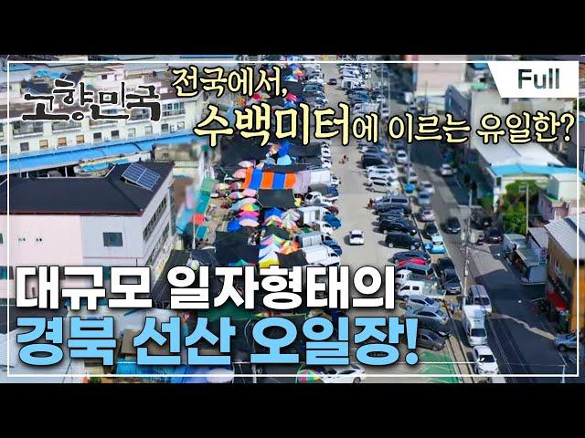 [Full] 고향민국 - 구미, 선산의 다시 선샤人