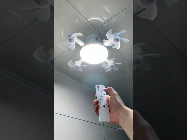 Ceiling Fan with Lights & Remote – Stylish & Functional Home Upgrade!