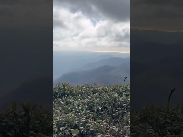 日高山脈の展望台　ピセナイ山