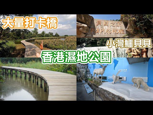 濕地公園 | 大量打卡橋 | 天水圍 | 貝貝之家 | 小灣鱷貝貝 | 蝴蝶園 | 觀鳥屋 | 彈塗魚 | 招潮蟹 | 蘆薈草